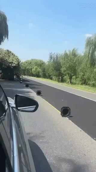 uploaded_6aa9b7eee3a655.68549259.gif