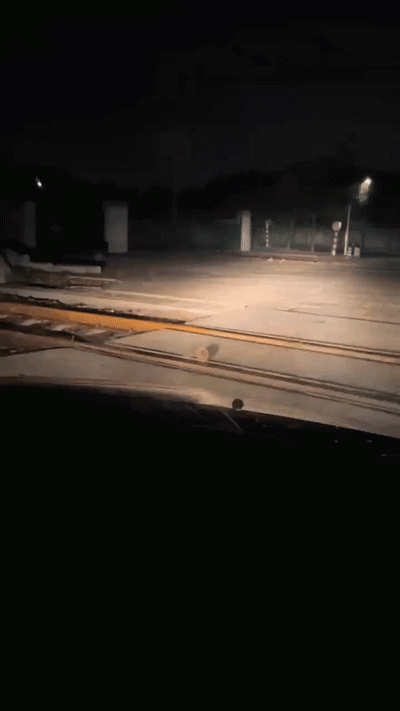 uploaded_6aa9b83dc92970.58830699.gif