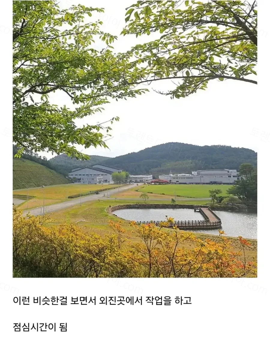 uploaded_6aaddf04b640a6.30881664.webp