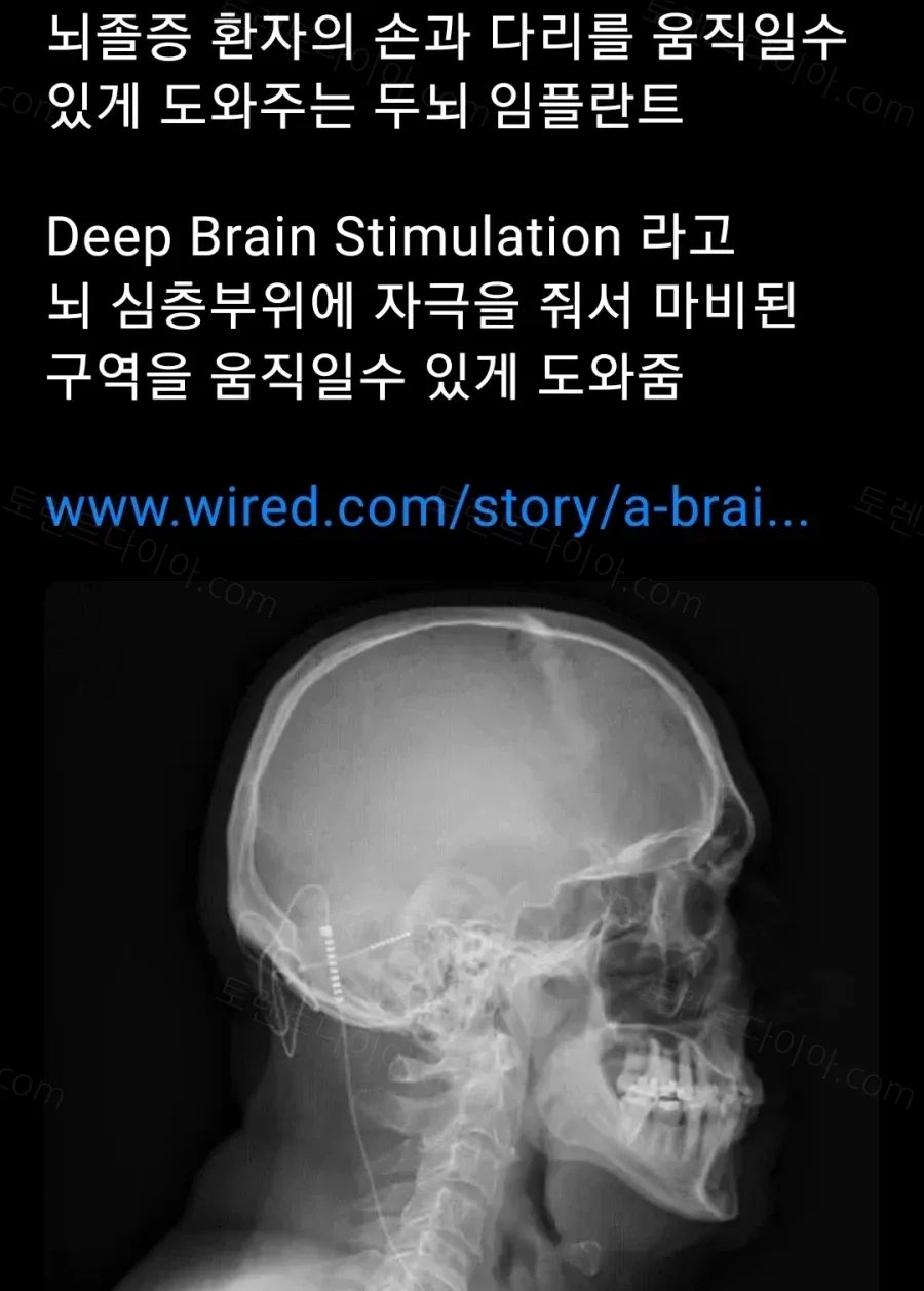 uploaded_6aaf3729c43433.73711653.webp