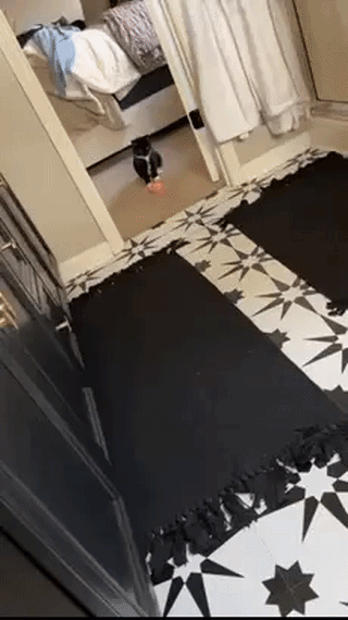 uploaded_6ab04db5a54d27.58717908.gif