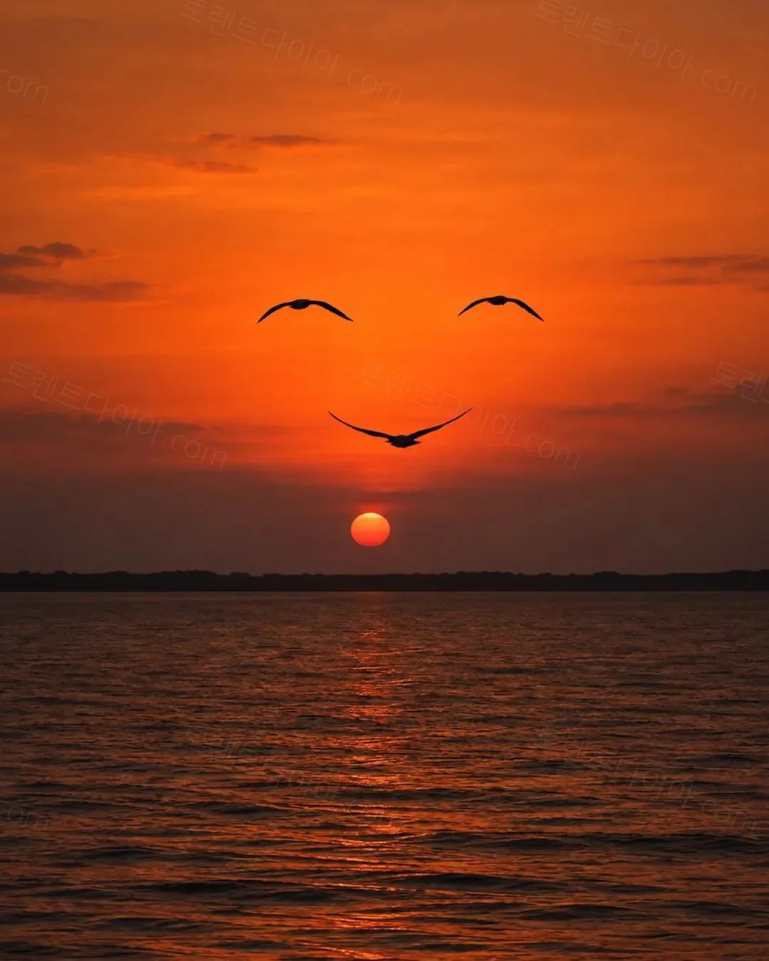 uploaded_6ab2f5ab2845e8.85827339.webp