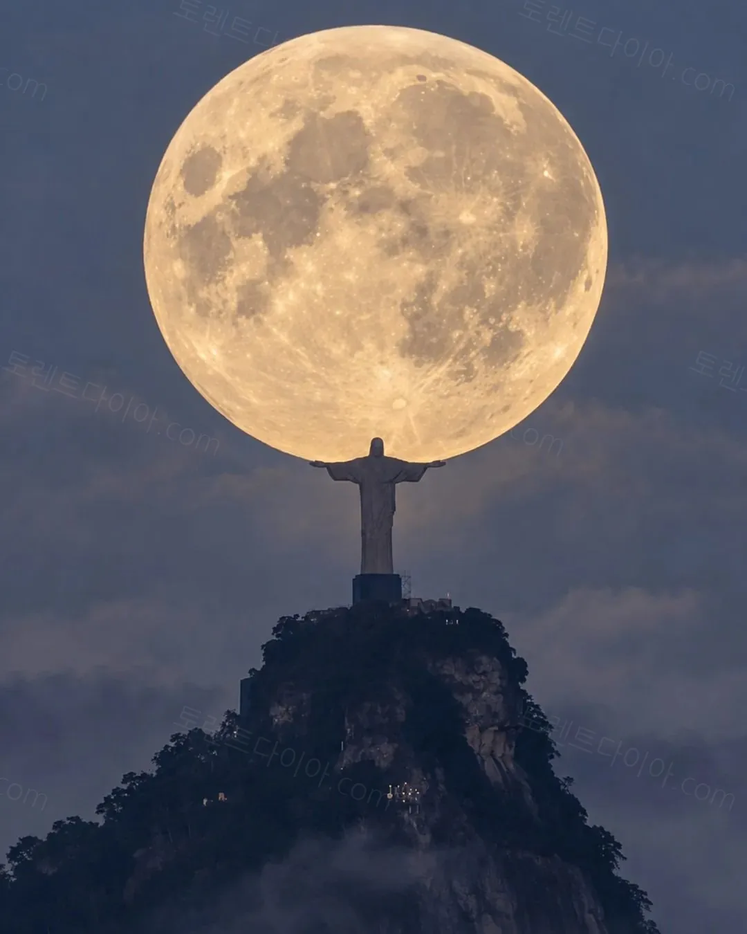 uploaded_6ab2f5c28486c7.99778784.webp