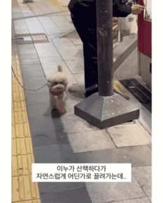 uploaded_6acff1294b8c38.11073218.gif