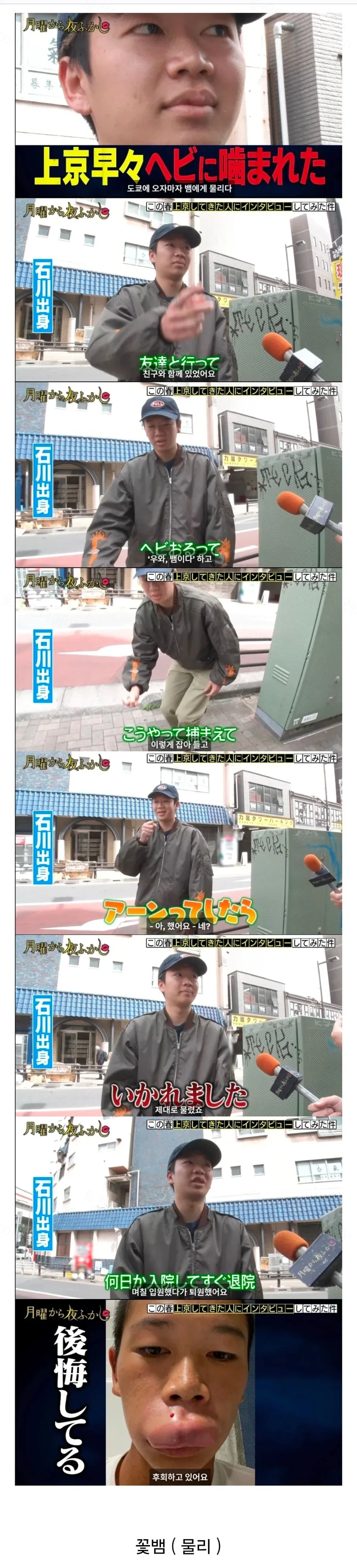uploaded_6ad2a86f21d191.55134611.webp