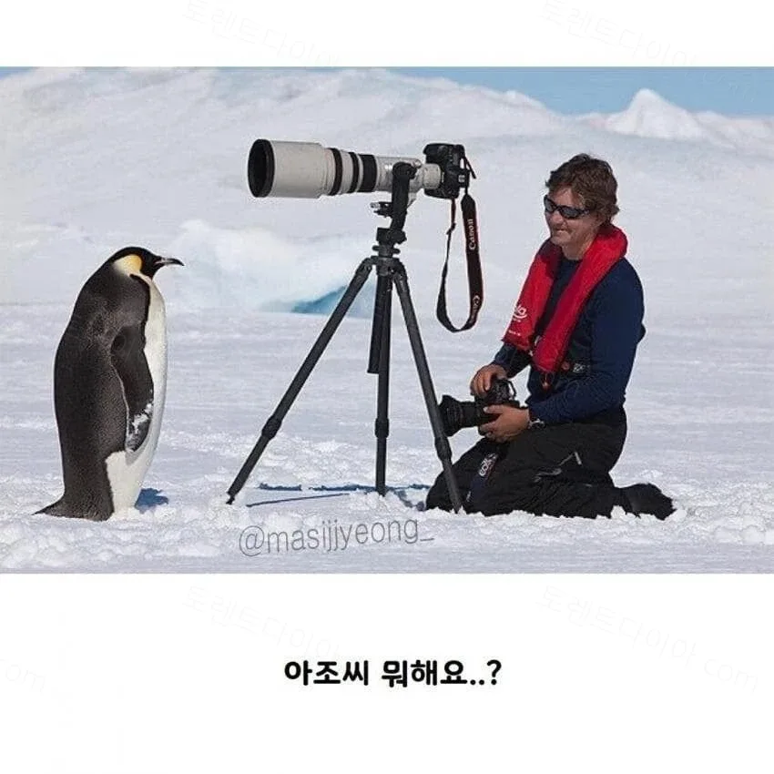uploaded_6ad3f34c9b2548.63288932.webp
