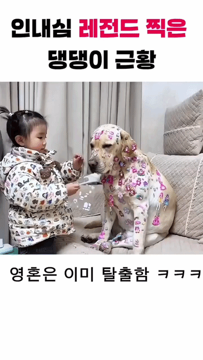 uploaded_6ad3f4c2ccc6a7.98468832.gif
