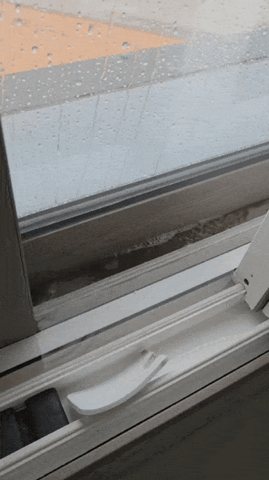 uploaded_6ad7881856f0f7.70622469.gif