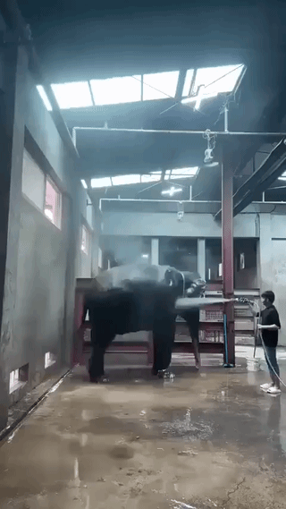 uploaded_6ad7de5f154ce8.15599079.gif
