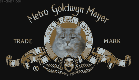 uploaded_6ada825ea2d4c9.32532620.gif