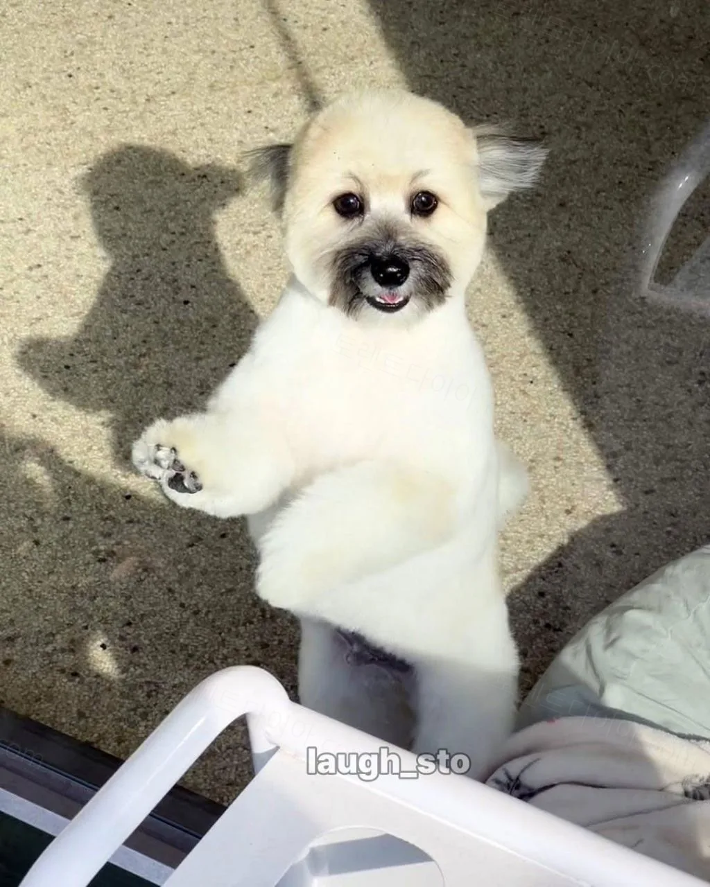 uploaded_6add70ff9aed45.60152788.webp