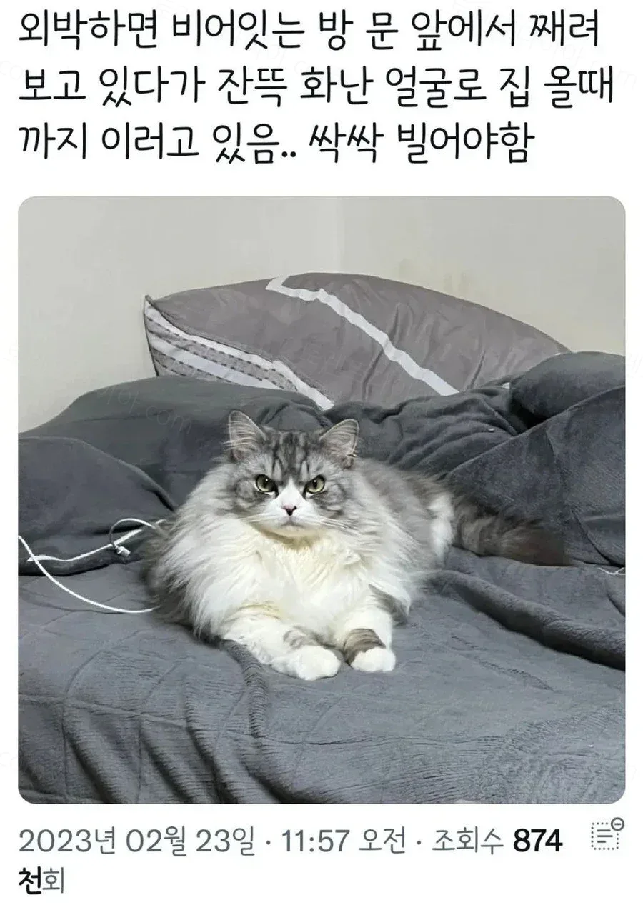 uploaded_6ade772abe4da4.69810974.webp