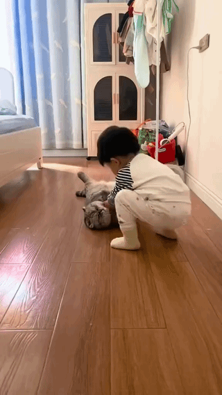 uploaded_6adfc2522178b2.60220271.gif