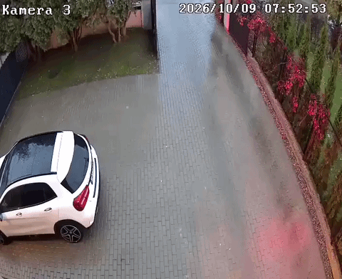 uploaded_6ae118c5a381e9.92466297.gif