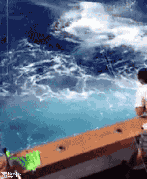 uploaded_6ae51a73dce2c3.54590457.gif
