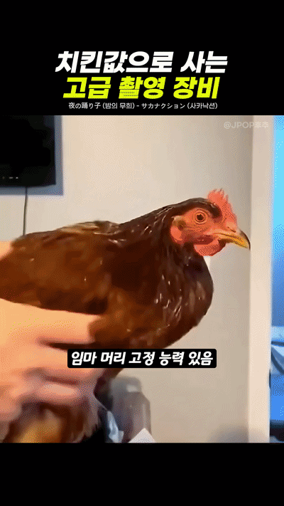 uploaded_6a176363099ad2.40868388.gif